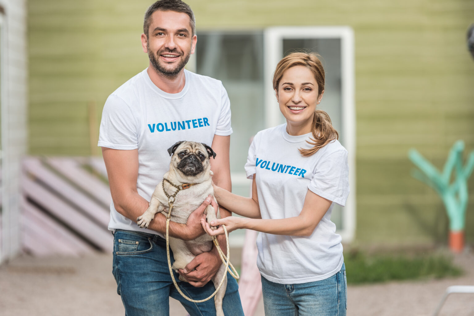 Evergreen Pug Rescue – Pug Rescue and Community in Washington State