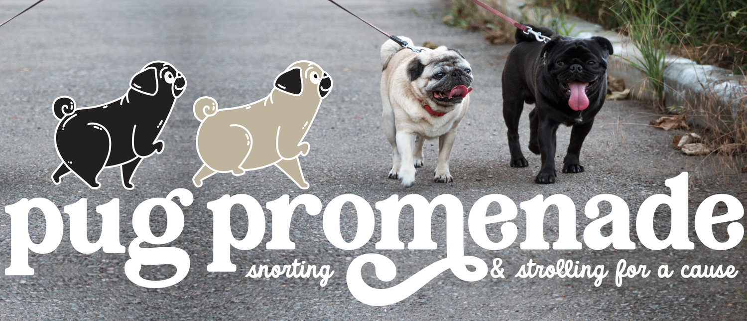 pugprom1