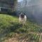 Bosley