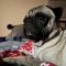Biggie