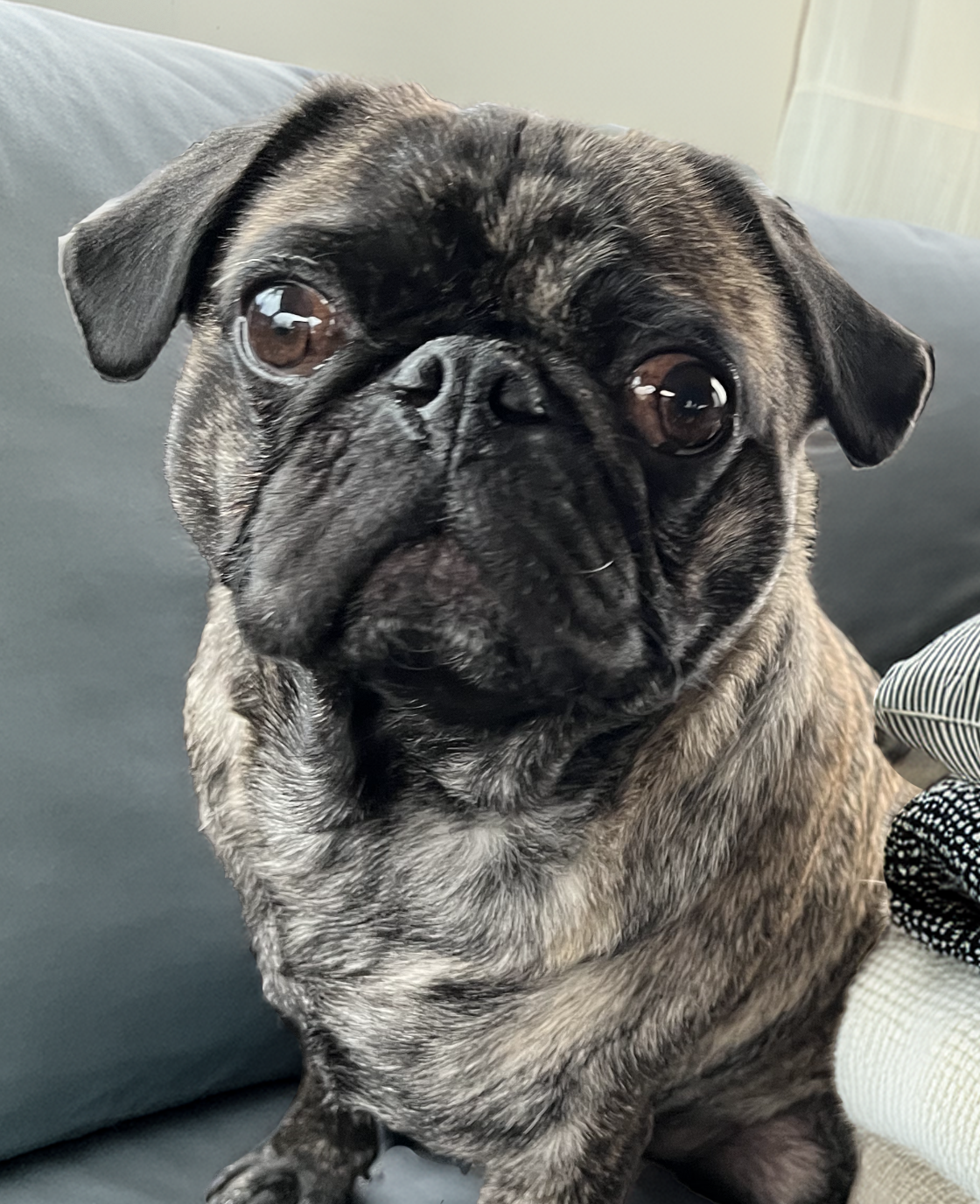 Screenshot 2025-11-23 at 7.55.40 AM