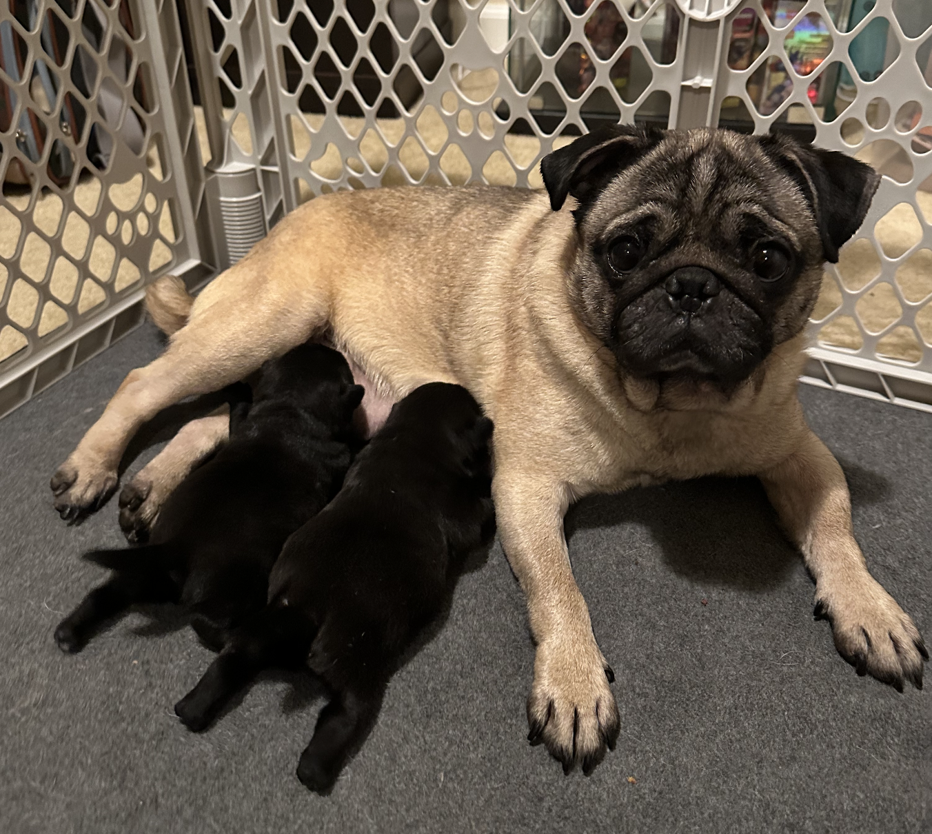 Screenshot 2026-02-23 at 7.30.45 AM