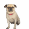 Elliott