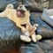 Mary Pugpins