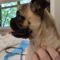 Lucy